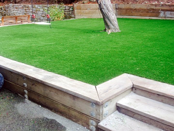 Faux Grass Aguilares, Texas Landscaping, Backyard Landscaping