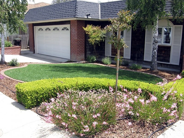 Faux Grass Carrizo Springs, Texas City Landscape, Front Yard Landscape Ideas