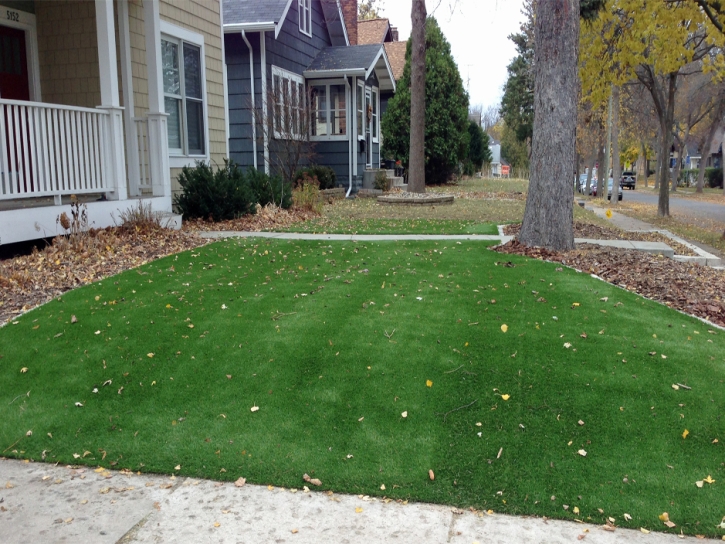 Faux Grass Lakewood Heights, Texas Backyard Deck Ideas, Front Yard Landscaping Ideas