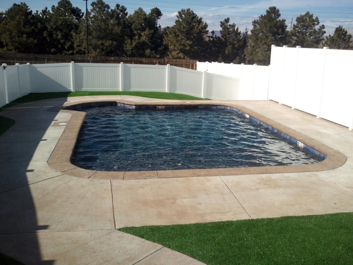 Faux Grass Loma Linda East Colonia, Texas Home And Garden, Natural Swimming Pools