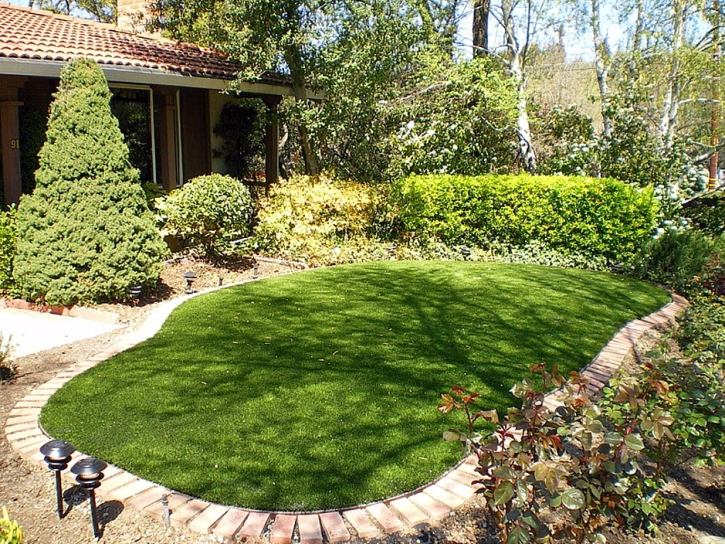 Faux Grass Pflugerville, Texas Backyard Deck Ideas, Small Backyard Ideas