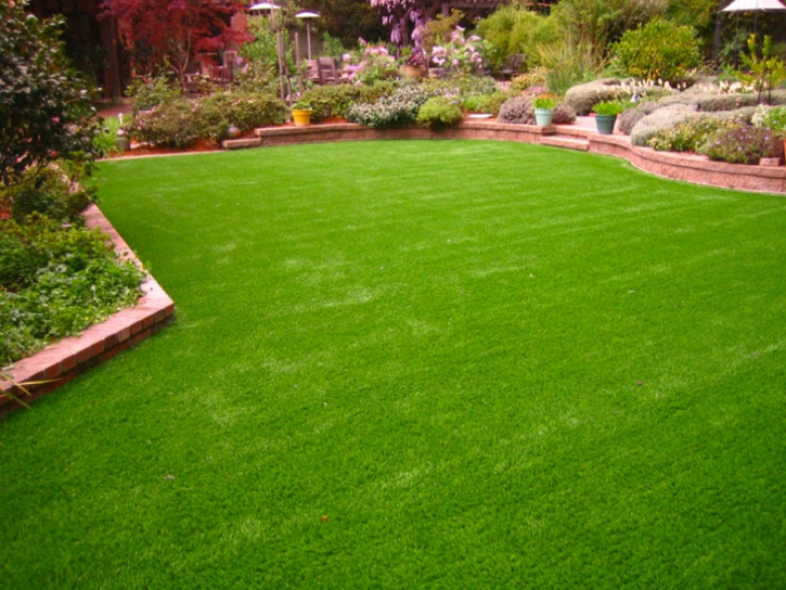 Faux Grass San Carlos Number 1 Colonia, Texas Lawn And Garden, Backyard Ideas