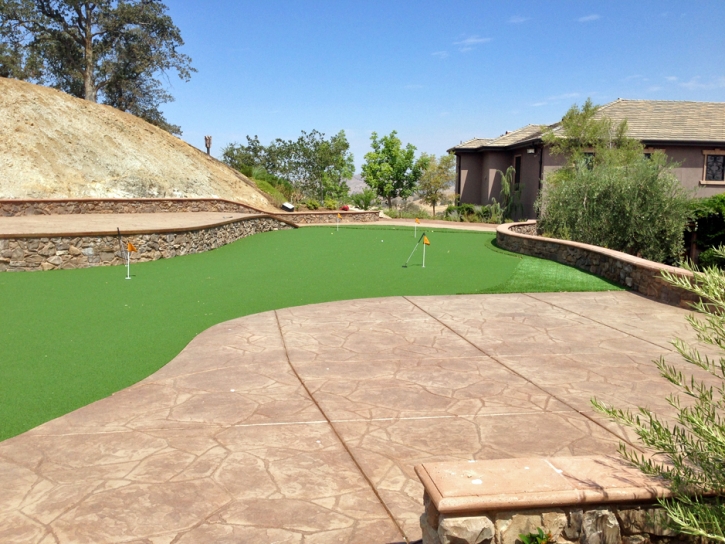 Grass Carpet Brownwood, Texas Outdoor Putting Green, Backyard Ideas