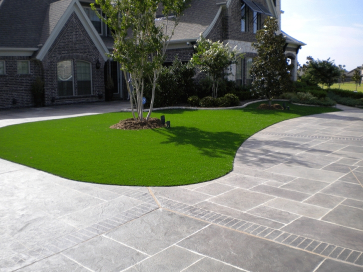 Grass Carpet Cameron, Texas Home And Garden, Front Yard Landscaping