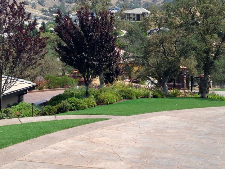 Grass Carpet Eldorado, Texas Landscape Design, Front Yard Landscaping