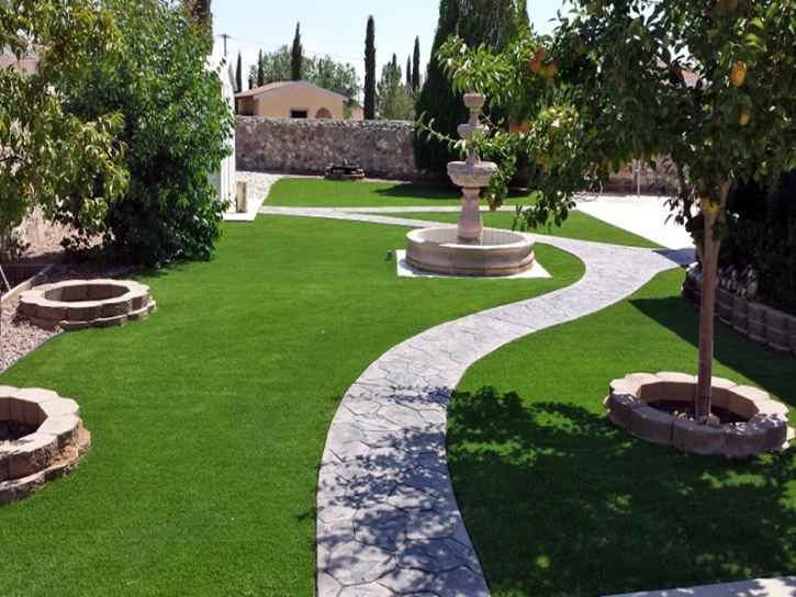 Grass Carpet Harker Heights, Texas Gardeners, Backyard Landscaping Ideas