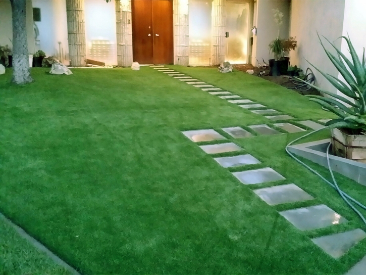 Grass Carpet Lake View, Texas Lawns, Front Yard Landscaping Ideas