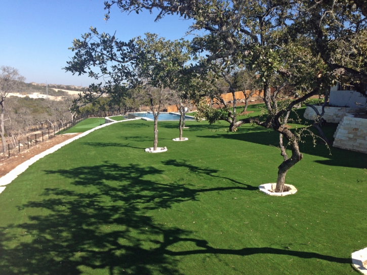 Grass Carpet Lamar, Texas Landscaping, Beautiful Backyards