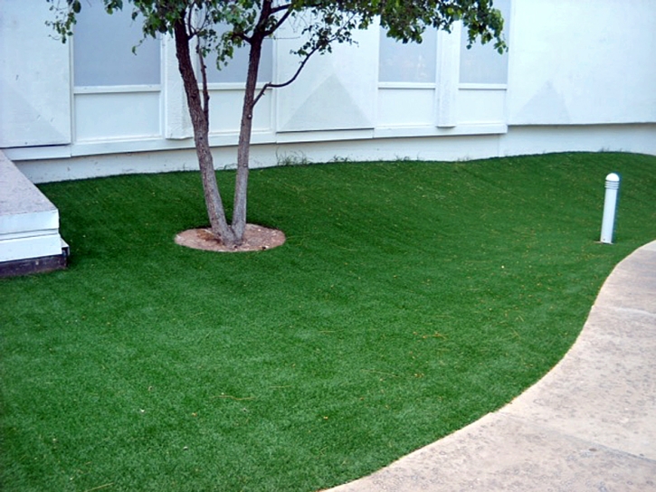 Grass Carpet Live Oak, Texas Landscape Photos, Commercial Landscape