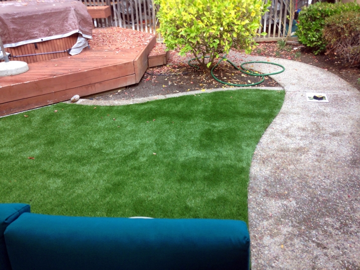 Grass Carpet Point Venture, Texas Landscape Photos, Backyard Ideas