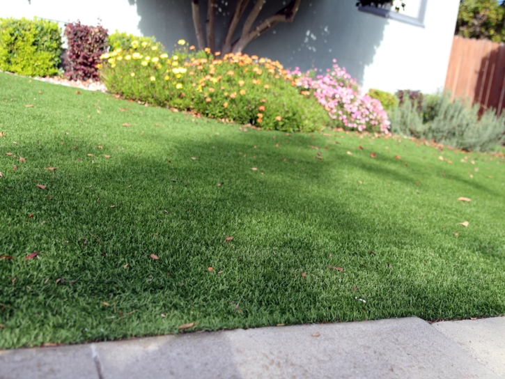 Grass Carpet Round Mountain, Texas Landscape Ideas, Front Yard Landscaping Ideas