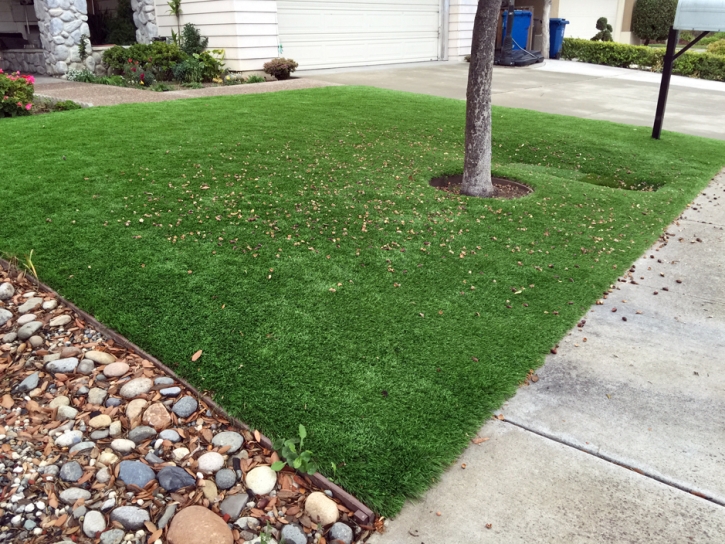 Grass Installation Blue Berry Hill, Texas Garden Ideas, Front Yard