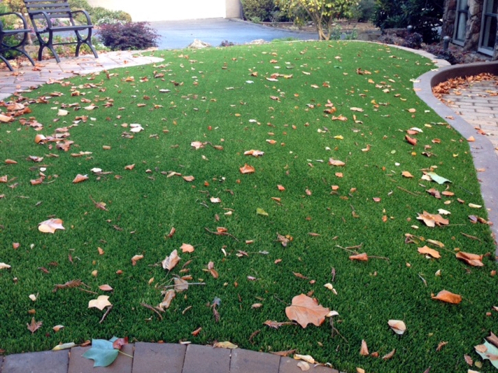 Grass Installation North Pearsall, Texas Gardeners, Front Yard Ideas