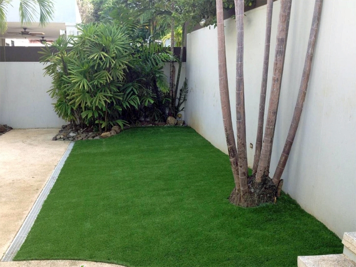 Grass Turf Calvert, Texas Gardeners, Backyard Landscaping