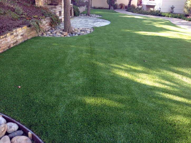 Grass Turf Helotes, Texas Watch Dogs, Backyard Ideas