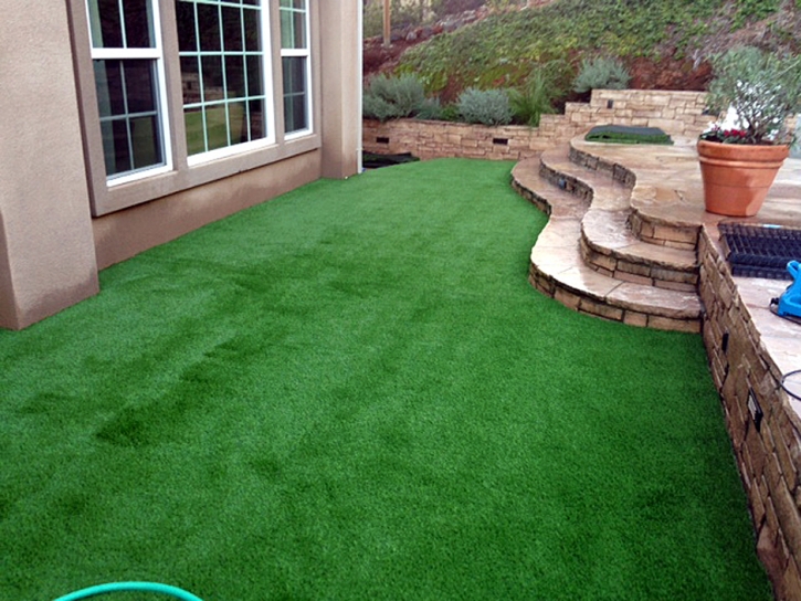 Green Lawn Bloomington, Texas Landscaping Business, Backyard Landscaping