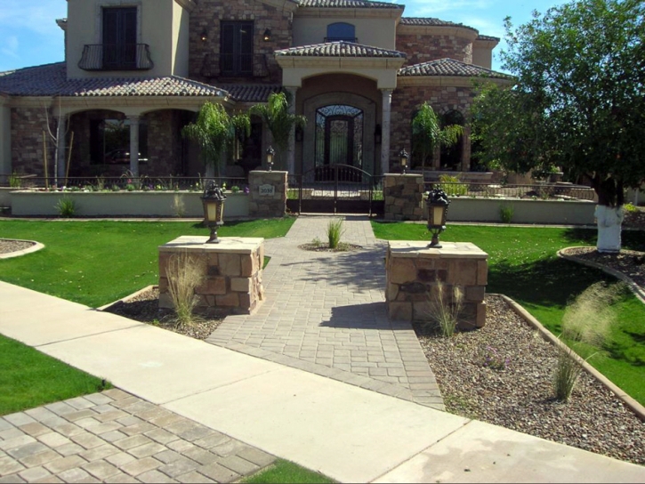 Green Lawn Christine, Texas Landscaping, Front Yard Ideas