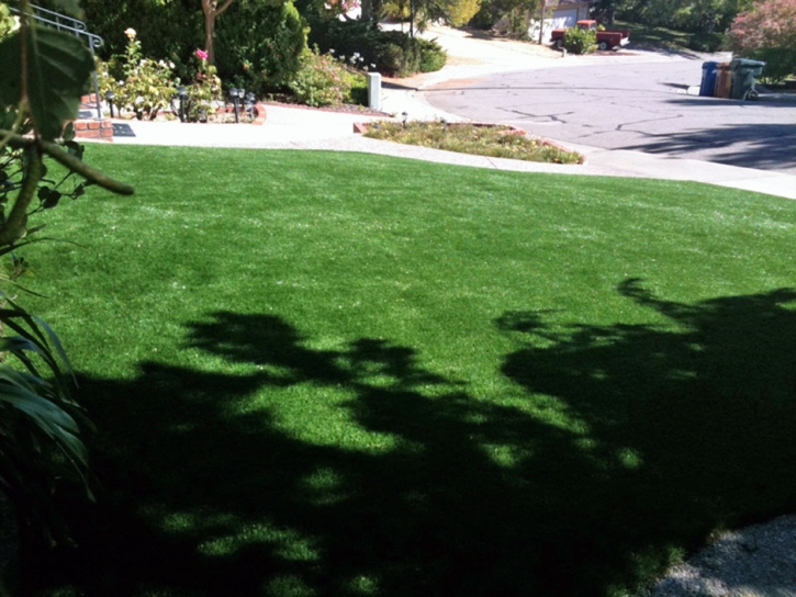 Green Lawn Kirby, Texas Lawn And Landscape, Front Yard Landscape Ideas