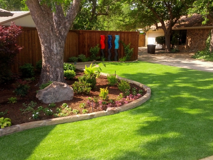 Green Lawn Morgan Farm Colonia, Texas Landscape Photos, Backyard