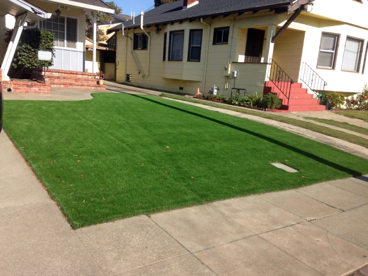 Installing Artificial Grass Dilley, Texas Roof Top, Front Yard Design