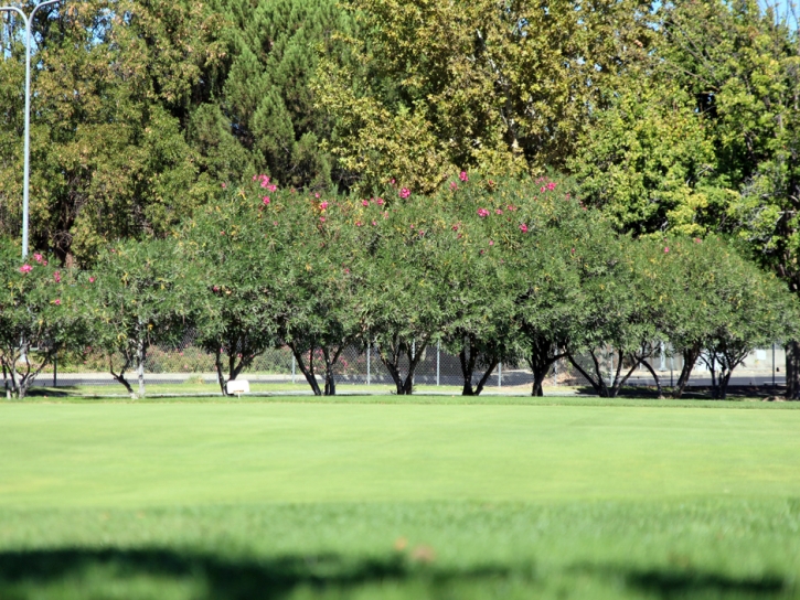 Installing Artificial Grass Markham, Texas Artificial Putting Greens