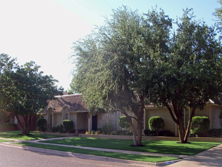 Installing Artificial Grass Orange Grove, Texas City Landscape, Front Yard