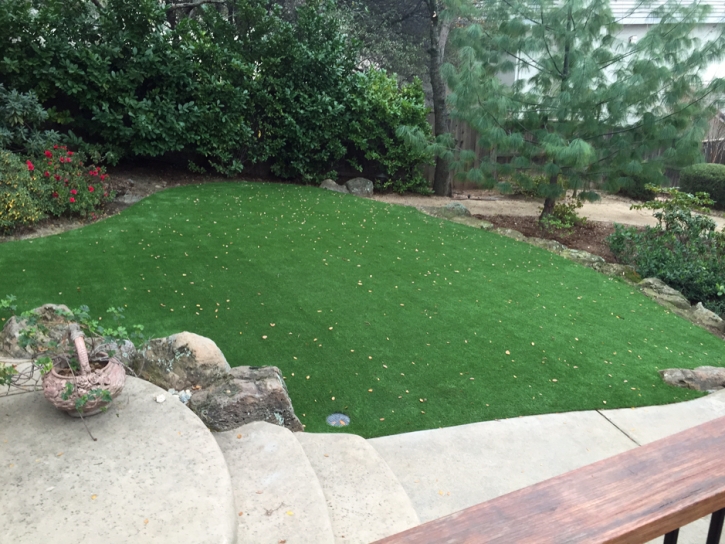 Installing Artificial Grass Rancho Banquete, Texas Roof Top, Backyard Ideas