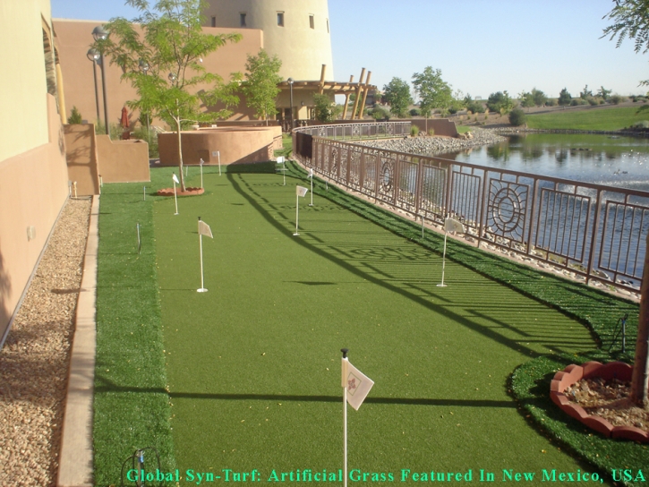 Lawn Services Alamo Heights, Texas Putting Green Grass, Backyard Design