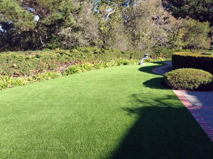 Lawn Services Mathis, Texas Lawns, Front Yard Landscape Ideas