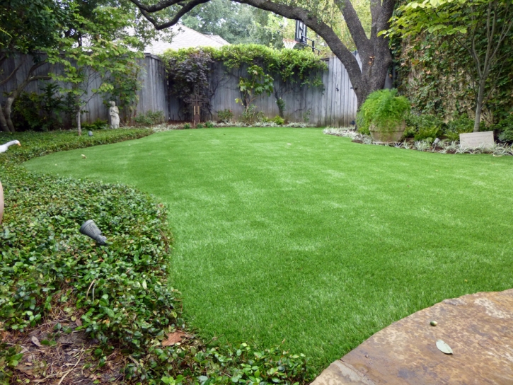 Outdoor Carpet Asherton, Texas Landscape Design, Backyard Designs