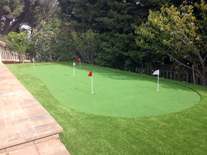 Outdoor Carpet Cantu Addition, Texas Putting Green Grass, Backyard Design