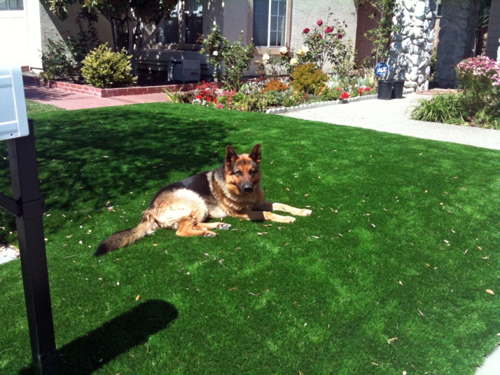 Outdoor Carpet Leon Valley, Texas Roof Top, Front Yard Landscaping