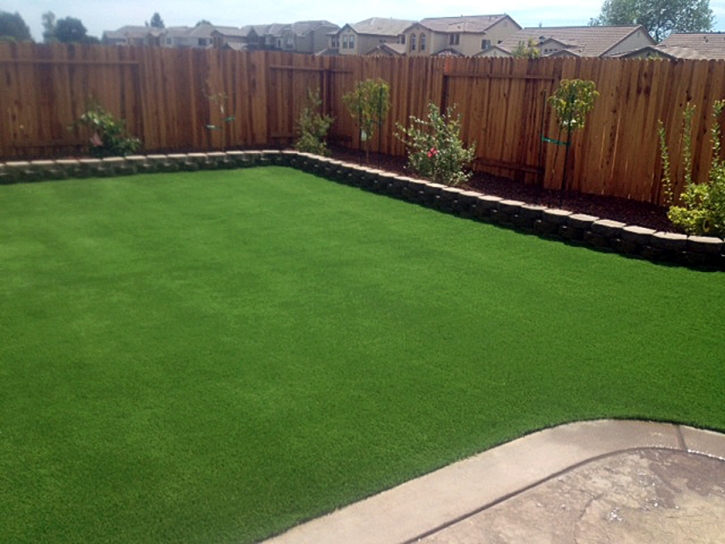 Outdoor Carpet Natalia, Texas Landscape Design, Backyard Makeover