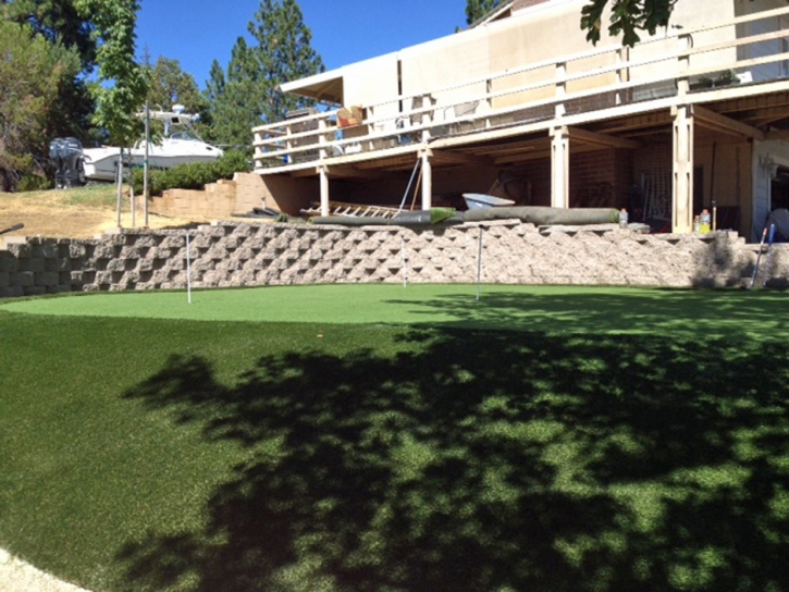 Outdoor Carpet Weir, Texas Best Indoor Putting Green, Backyard