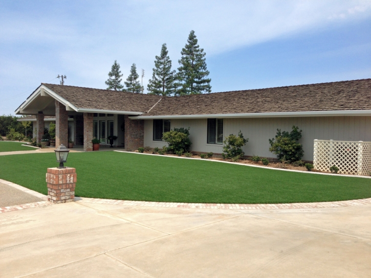 Plastic Grass Beeville, Texas Rooftop, Front Yard Design