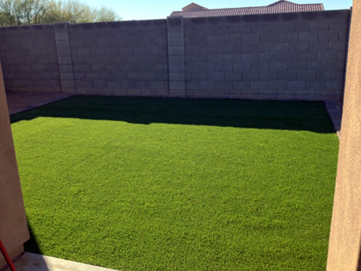 Plastic Grass Cedar Park, Texas Landscaping Business, Backyard Design