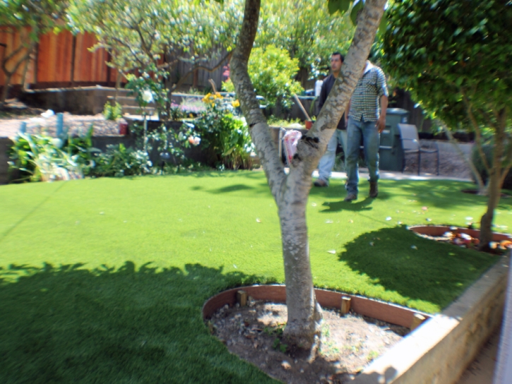 Plastic Grass Columbus, Texas Garden Ideas, Backyard Garden Ideas