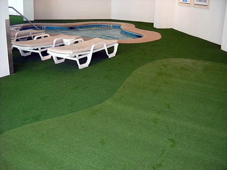 Plastic Grass Damon, Texas Design Ideas, Natural Swimming Pools