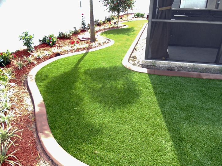 Plastic Grass Edroy, Texas Rooftop, Small Backyard Ideas