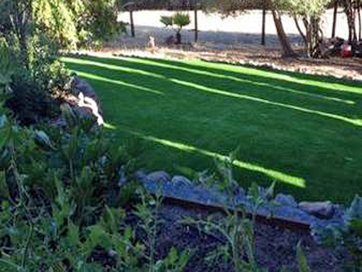 Plastic Grass Petronila, Texas Rooftop, Beautiful Backyards