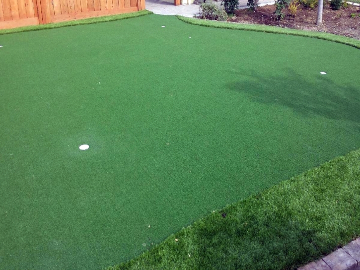 Plastic Grass Somerset, Texas Putting Green