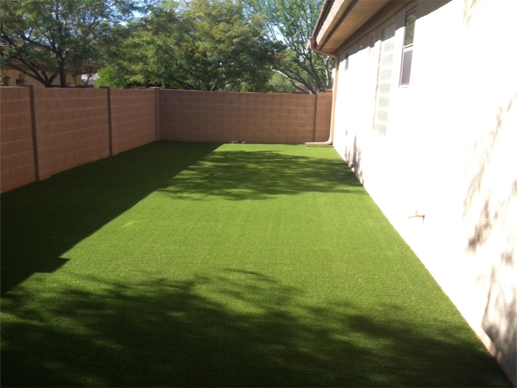 Plastic Grass Waco, Texas Design Ideas, Backyard Makeover