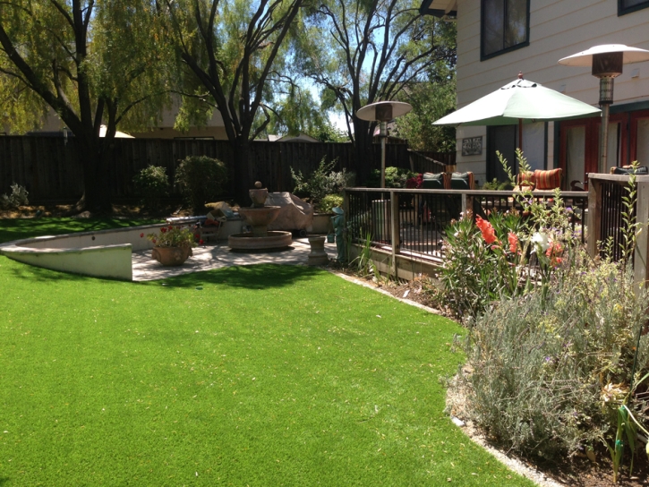 Synthetic Grass Camp Swift, Texas Gardeners, Backyard Ideas