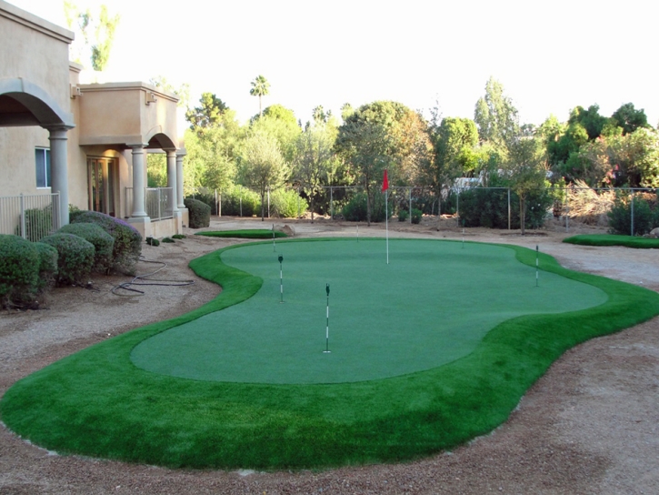 Synthetic Grass Cost Carmine, Texas Putting Green Flags, Backyard Garden Ideas