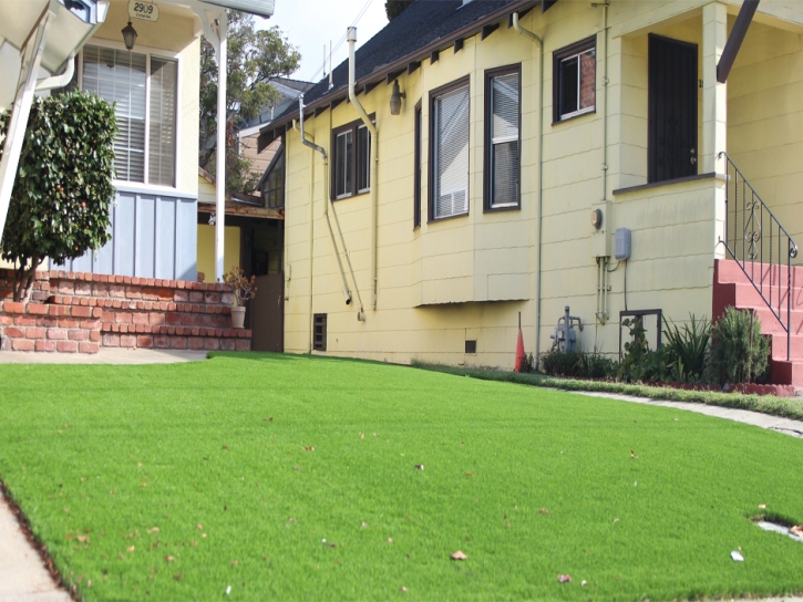 Synthetic Grass Cost Hornsby Bend, Texas Landscape Design, Small Front Yard Landscaping