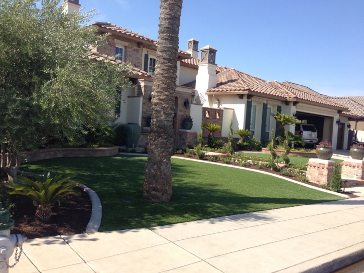 Synthetic Grass Cost Hutto, Texas Design Ideas, Front Yard Landscaping