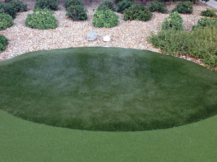 Synthetic Grass Cost New Territory, Texas Landscape Design