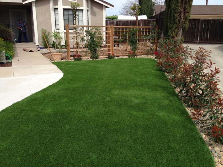 Synthetic Grass Cost North San Pedro, Texas Design Ideas, Front Yard Landscape Ideas