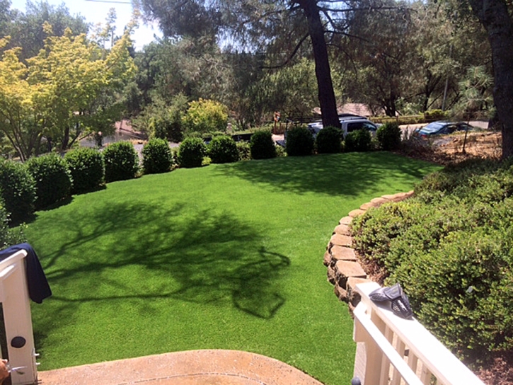 Synthetic Grass Cost Poteet, Texas Lawn And Garden, Backyard Garden Ideas