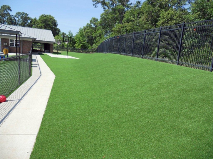 Synthetic Grass Cost Windemere, Texas Roof Top, Commercial Landscape